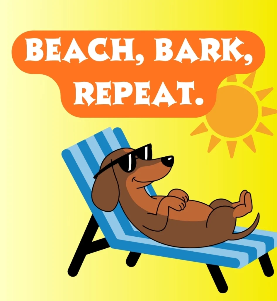 Summer Dog Puns