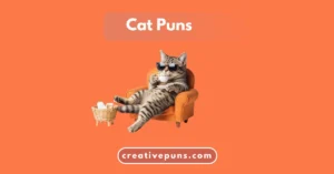 Creative Puns 1 Cat Puns